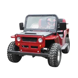 4 Stroke 150cc Mini Willys ATV,Go Karts 2 Seater,Mini Buggy for Adults,Chain Drive,Semi-automatic,Disc