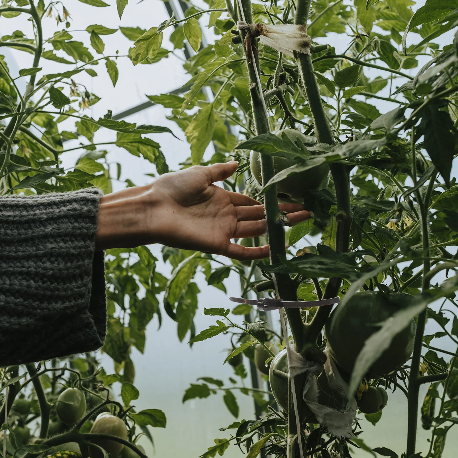 

100Pcs Double Hole Round Head Nylon Cable Ties Self-Locking Strong Binding for Construction Ship Electricity Computer Petroleum