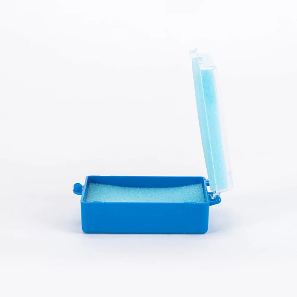 50pcs Denture Storage Box Dental Implant Storage Box Denture Plastic Tooth with Sponge Teeth Tools Fake Dental Storage Box