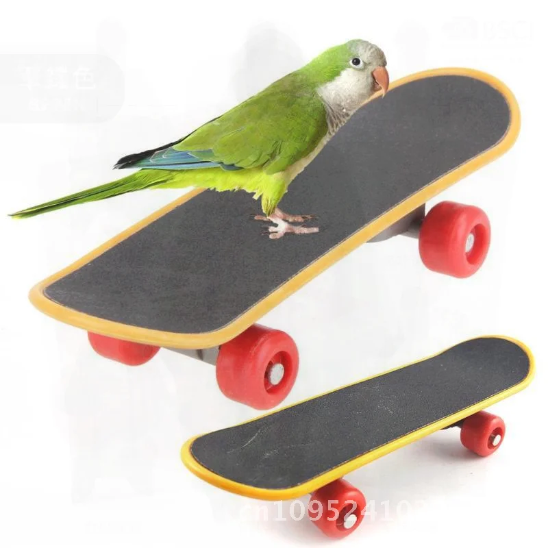 

Interactive Parrot Foot Educational Toy with Mini Skateboard - Claw Grinding And Training Tool for Birds Large Size 31g