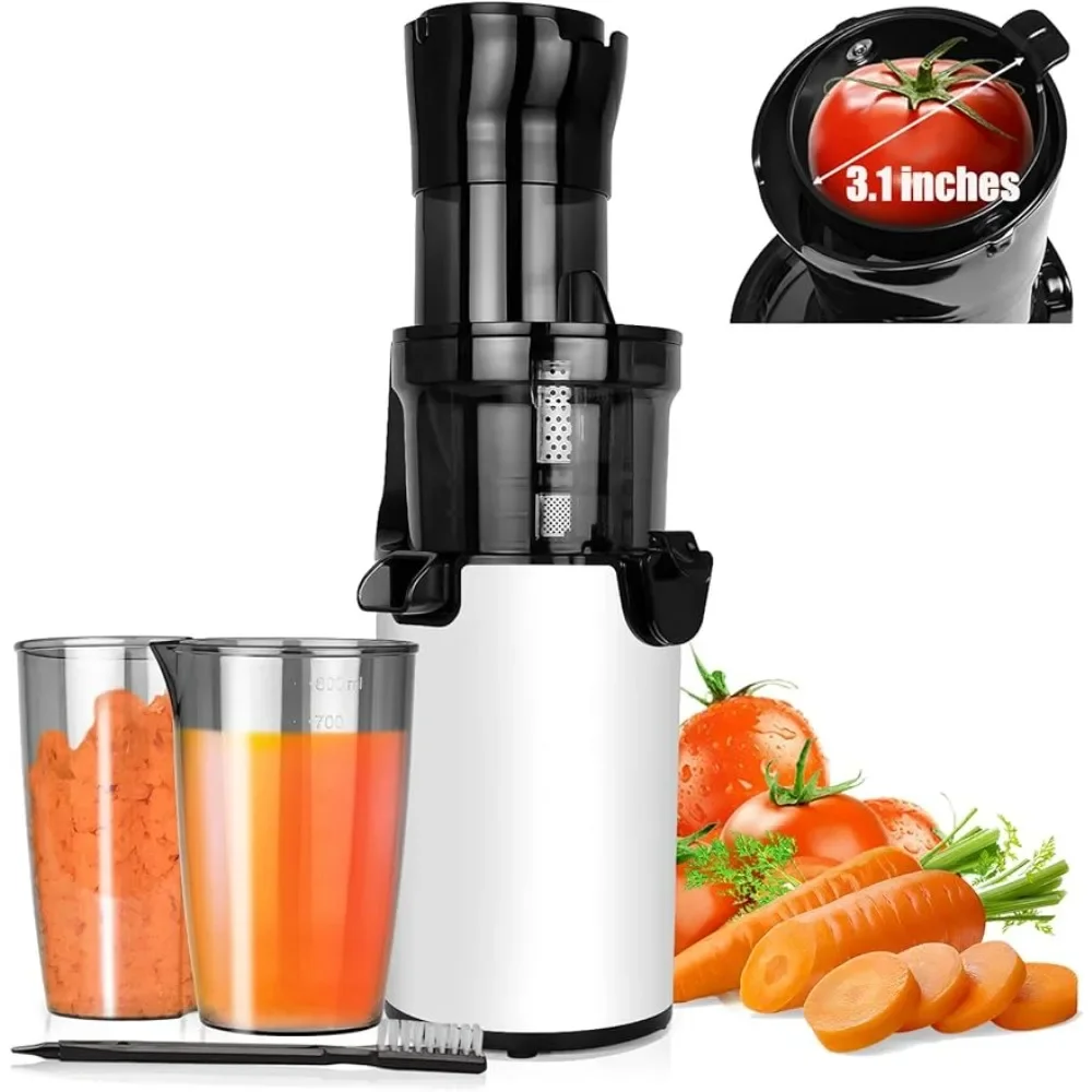 Cold Press Juicer Machine, Compact Masticating Juicer with 3.1