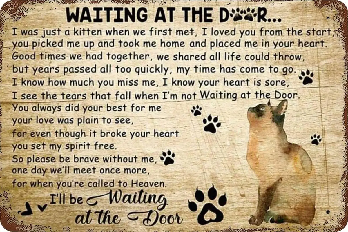 Y1,Cat Lover Vintage Tin Sign Cat Ill Be Waiting at The Door Metal Wall Decor for Home, Bar, Diner, Pub, or Man Cave 5.5x8inch-a