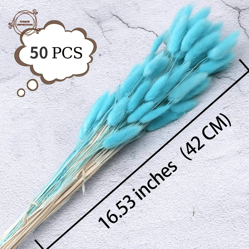 50PCS Rabbit Tail Dried Flowers Natural Bunny Tails Grass Bouquet Boho Home Decor Lagurus Ovatus Wedding Table Decor Accessories view 4