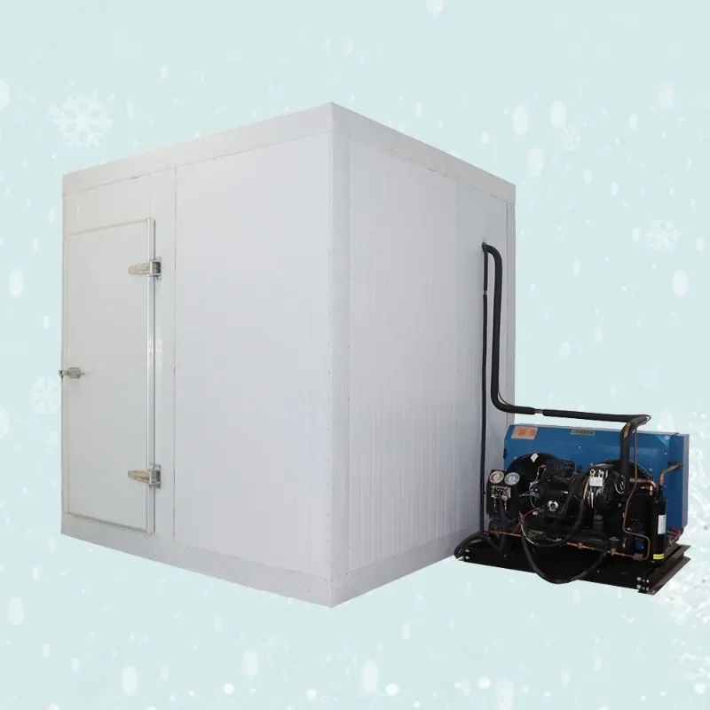 

High Performance Cold Room Storage Walk In Cooler Big Capacity Cold Chiller Room