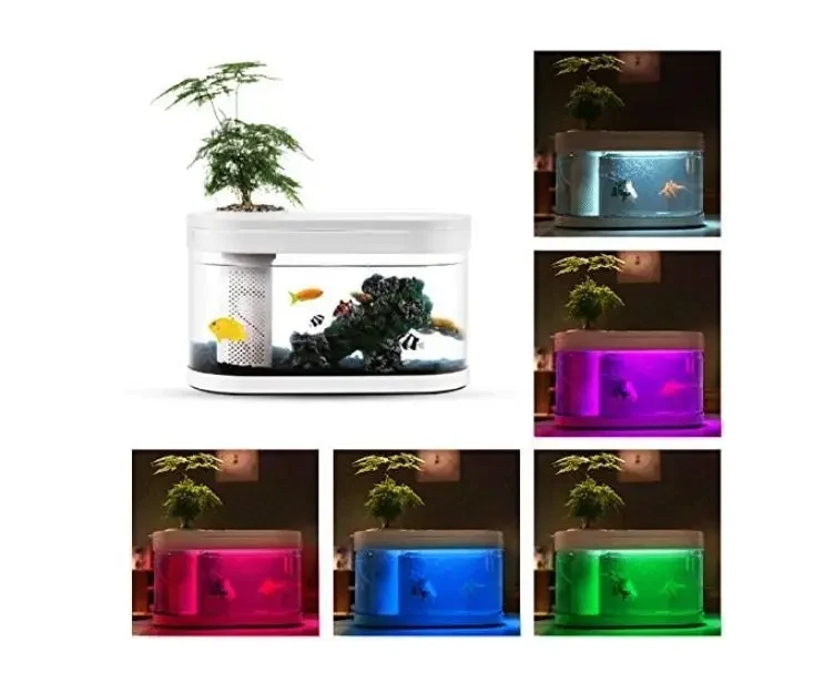 Geometry Fish Tank  Ecosystem Small Water Garden Home Decoration