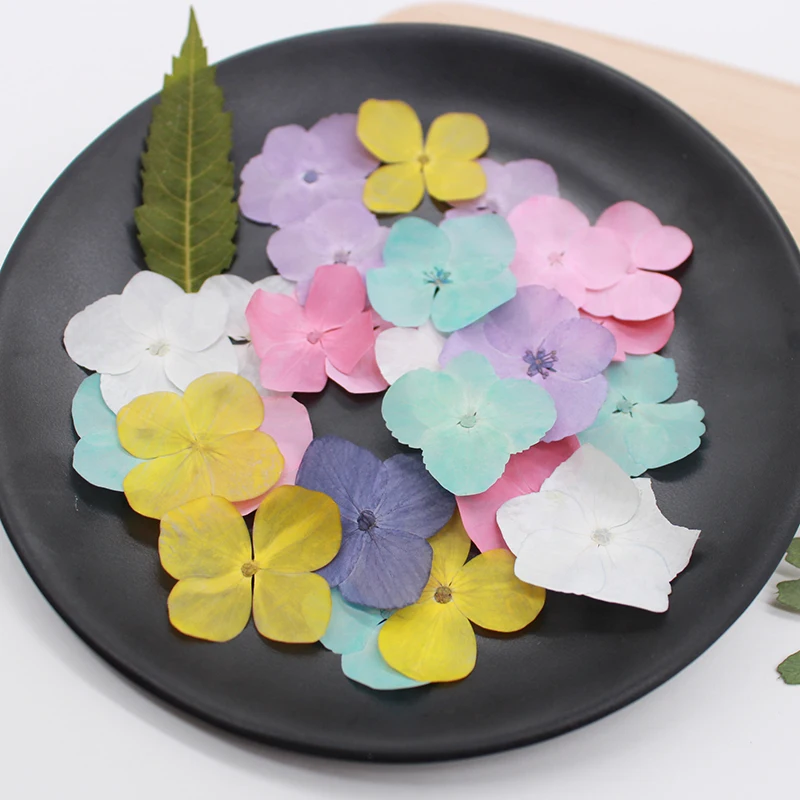 24pcs/2-3cm,Pressed Dyed Hydrangea dry Flower Petals,Real flower DIY Nail Art Decoration phone case Flora Gel Manicure Stickers