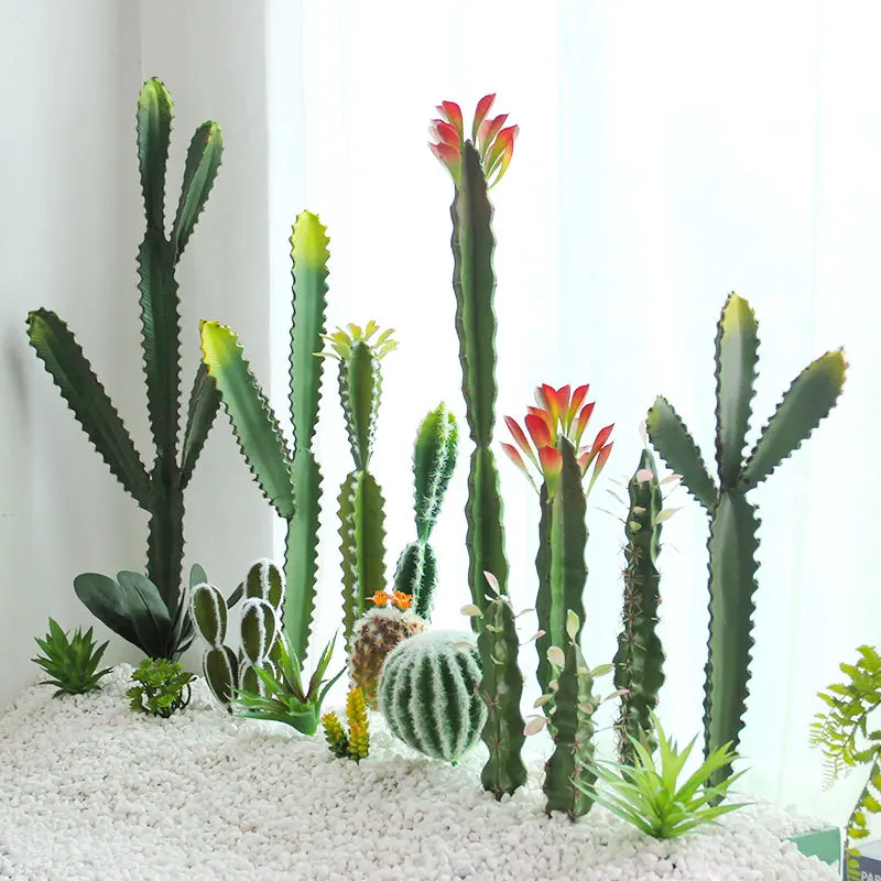 Plantación de paisajismo de columnas de hadas.