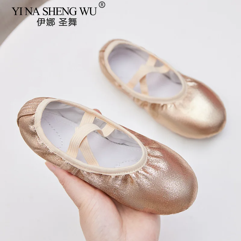 Blue Pink Ballet Shoes For Girls Soft Sole Flat Yoga Gym Slippers Children Women Jazz Ballet Dancing Practice Special Sneakers