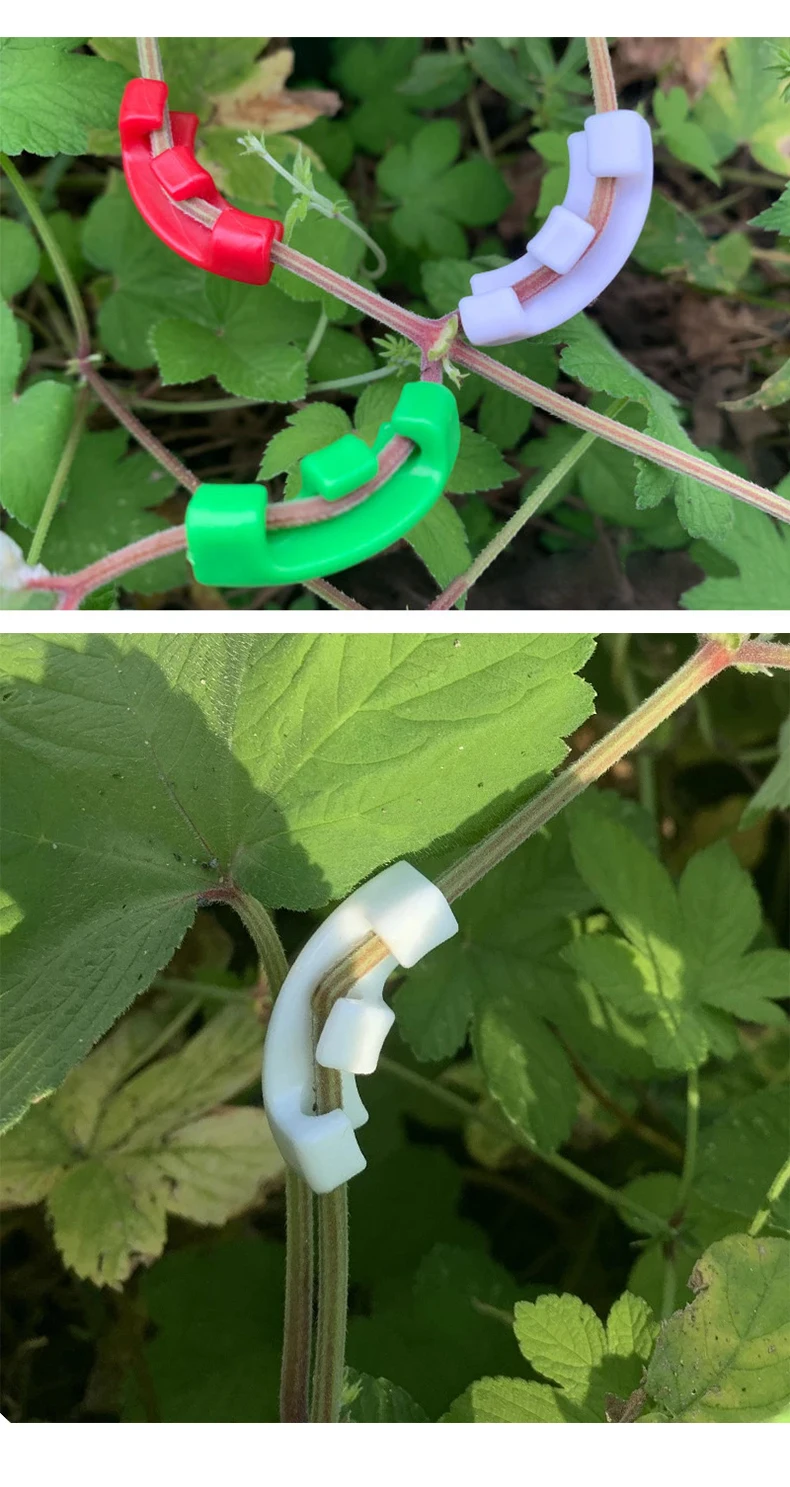 10–50 Stück 90-Grad-Pflanzenbieger Trainer Wachstumsmanipulation Tutors für Pflanzen Clips Biegen Zweigklemmen Branche Zubehör – Detail 6