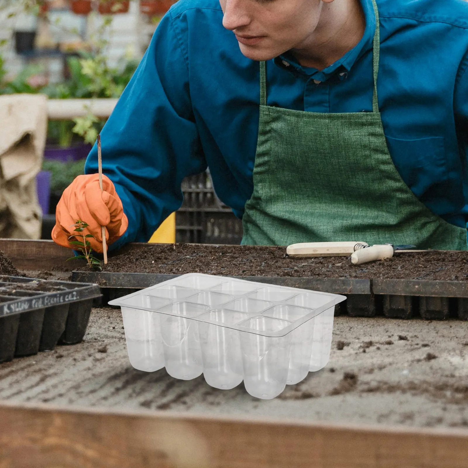 30Pcs Seedling Trays Transparent Plastic Growing Trays Drainage Holes Indoor Plant Propagation Germination Starter Pots