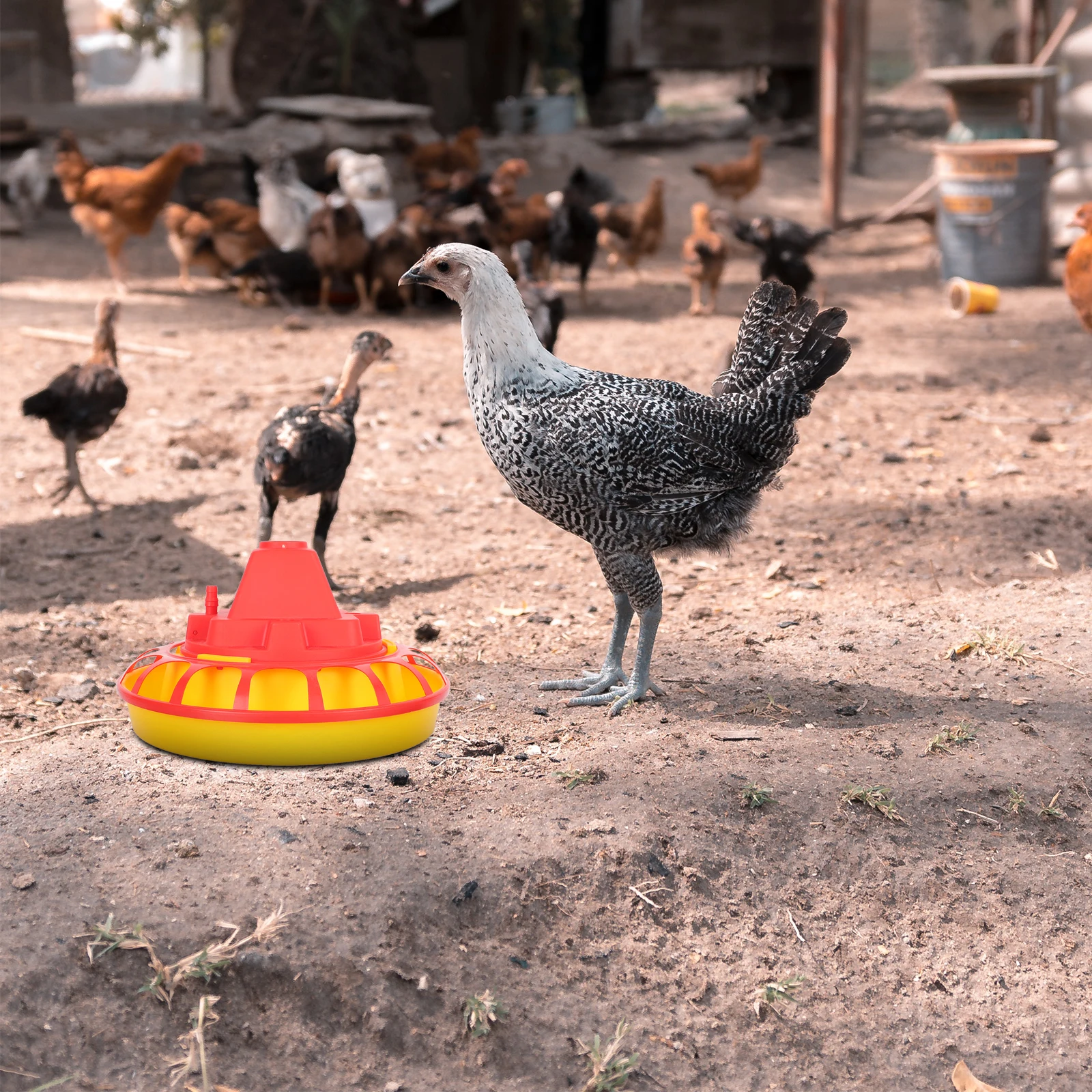 

2 Pcs Automatic Drinking Fountain Chicken Water Feeder Poultry Waterer Drinker Waterers Device for System