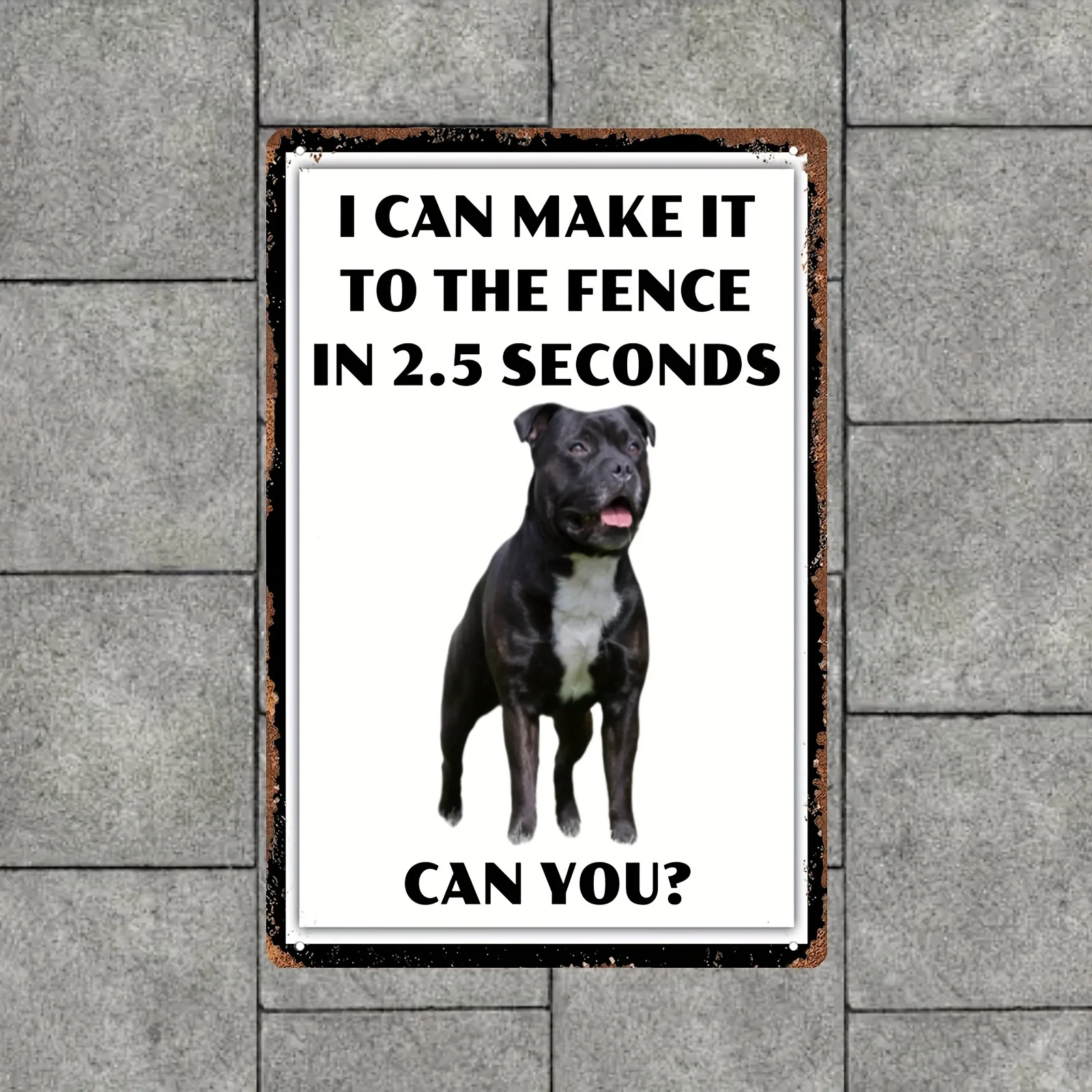 2D 