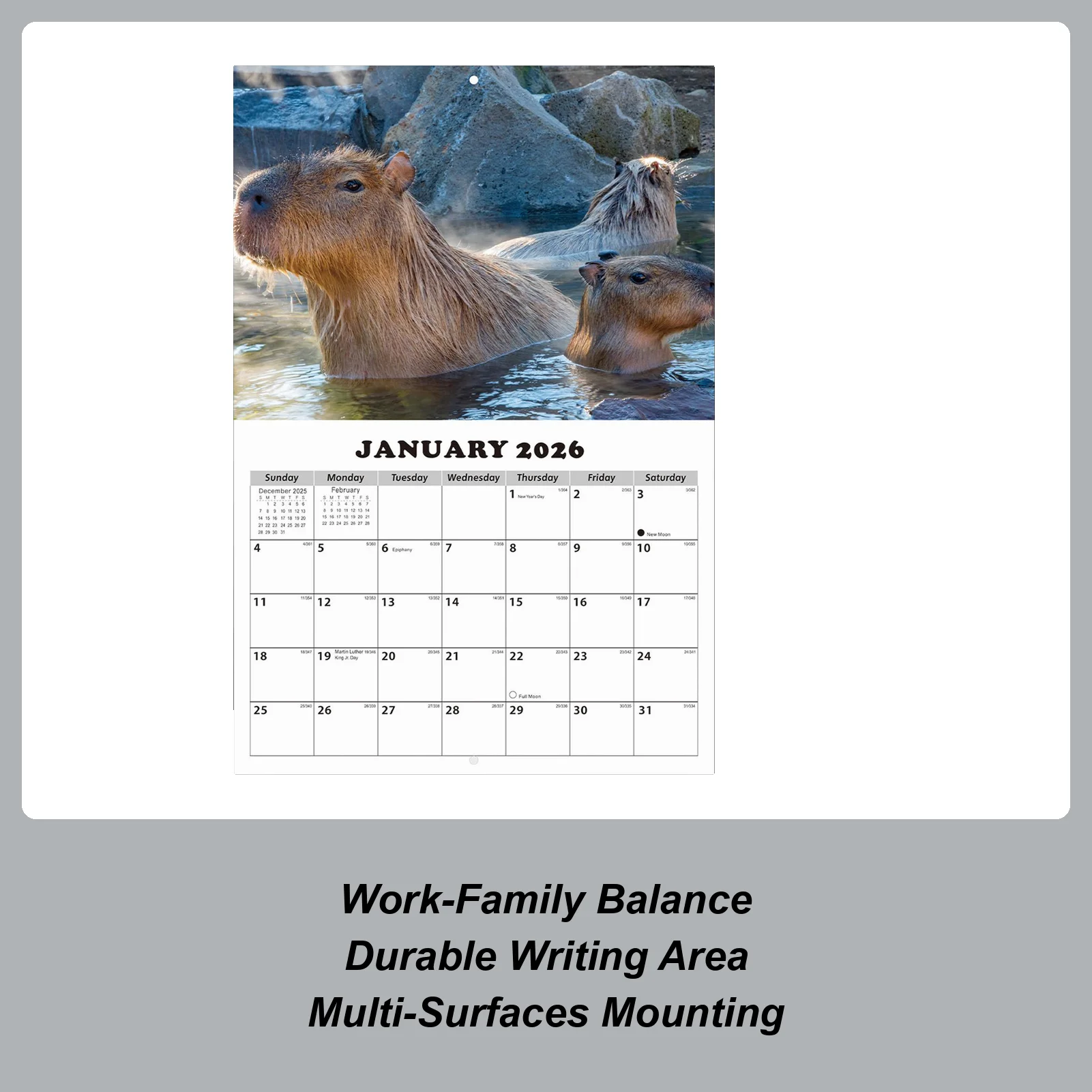 Calendario da parete gennaio 2026-2027 Anti spurgo inchiostro Pianificatore personale 13 mesi Calendario da parete gennaio 2026 con date Julian per la casa