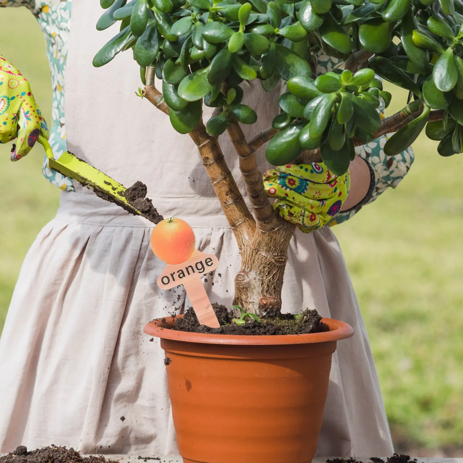 12Pcs Garden Marker Stakes Waterproof Wooden Fruit Labels Nursery Plant Signs Potted Plant Decoration Outdoor Seedling Markers