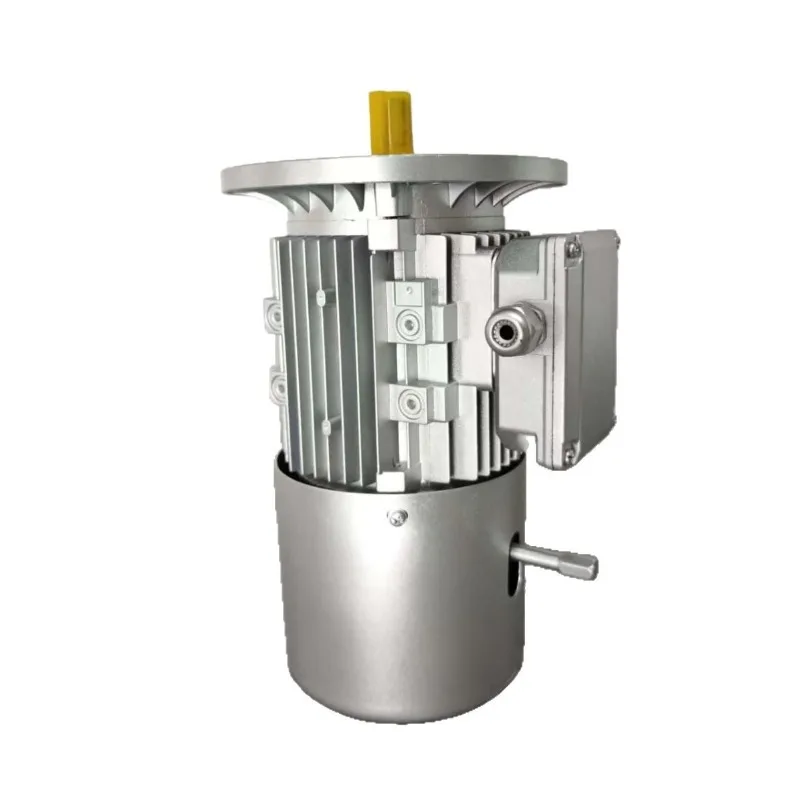 

Three-phase asynchronous motor 380v AC vertical horizontal motor Customized B5 brake brake motor