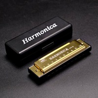 Portable Key of C 10 Hole Harmonica Metal Rectangle Diatonic Harmonica Beginner Teaching with Box Mouth Organ Children