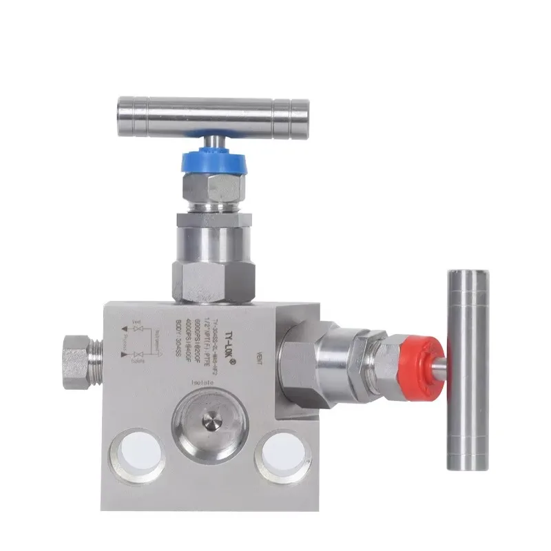 304 Stainless Steel Internal Thread Two Valve Group Manufacturer Integrated Instrument