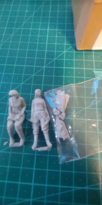 Buyer photo of this resin kit