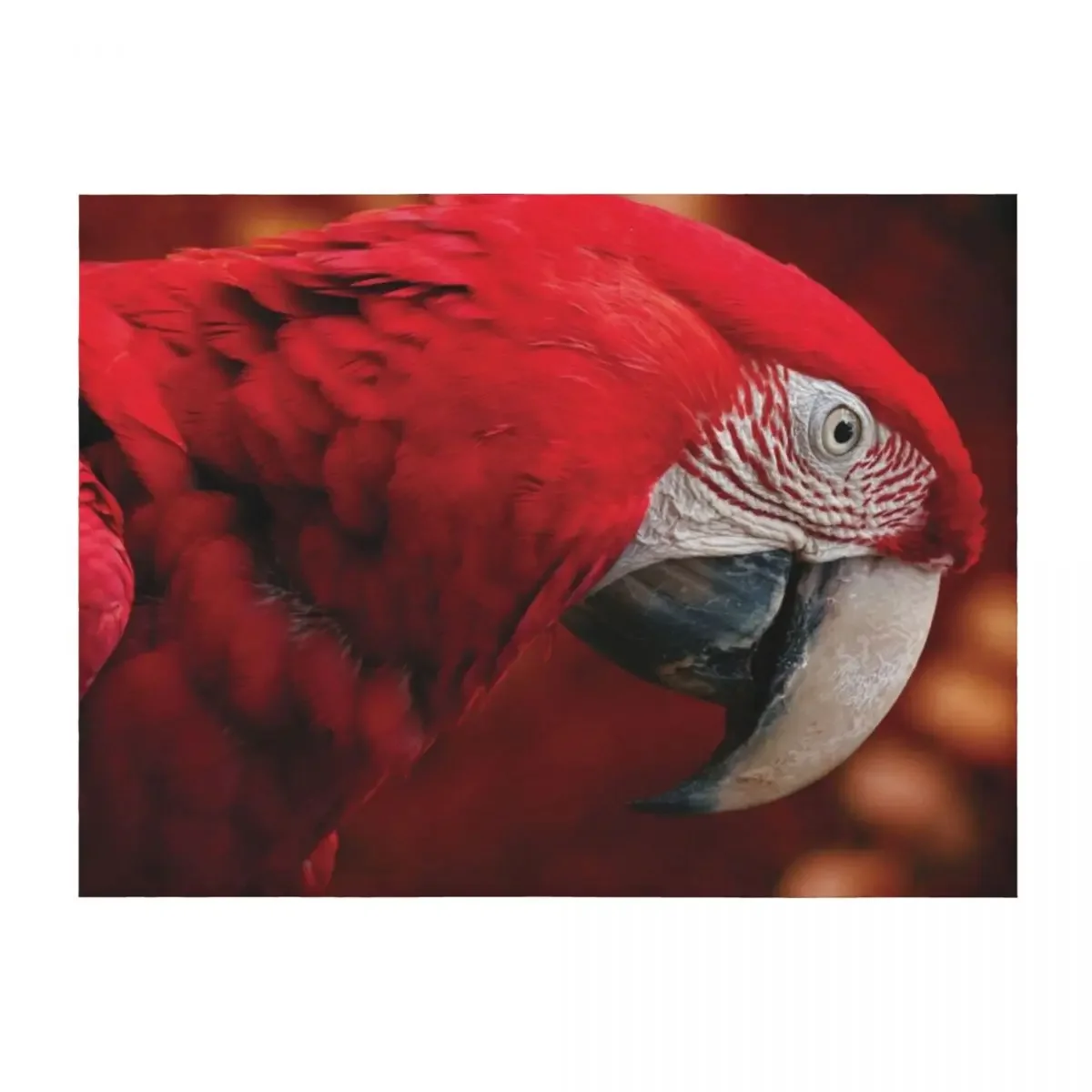 

Beautiful Red Macaw Ara Throw Blanket Soft Blankets For Baby Shaggy Decorative Throw Blankets