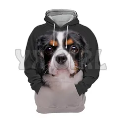 Sweat à capuche imprimé en 3D pour chien, animal, Cavalier, King, Charles, épagneul, joli pull unisexe, drôle, décontracté, survêtement de rue