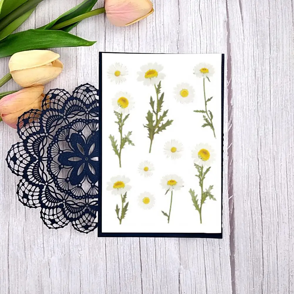 2Pcs Stylish Plant Sticker Removeable Scrapbooking Sticker Self-adhesive No Mark Left Diary Stationery Album Decal  Decorative