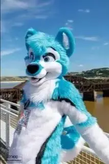 

Blue White Long Fur Furry Husky Dog Wolf Fox Fursuit Mascot Costume Adult Cartoon Character Suit Real Play Trade fancy dress