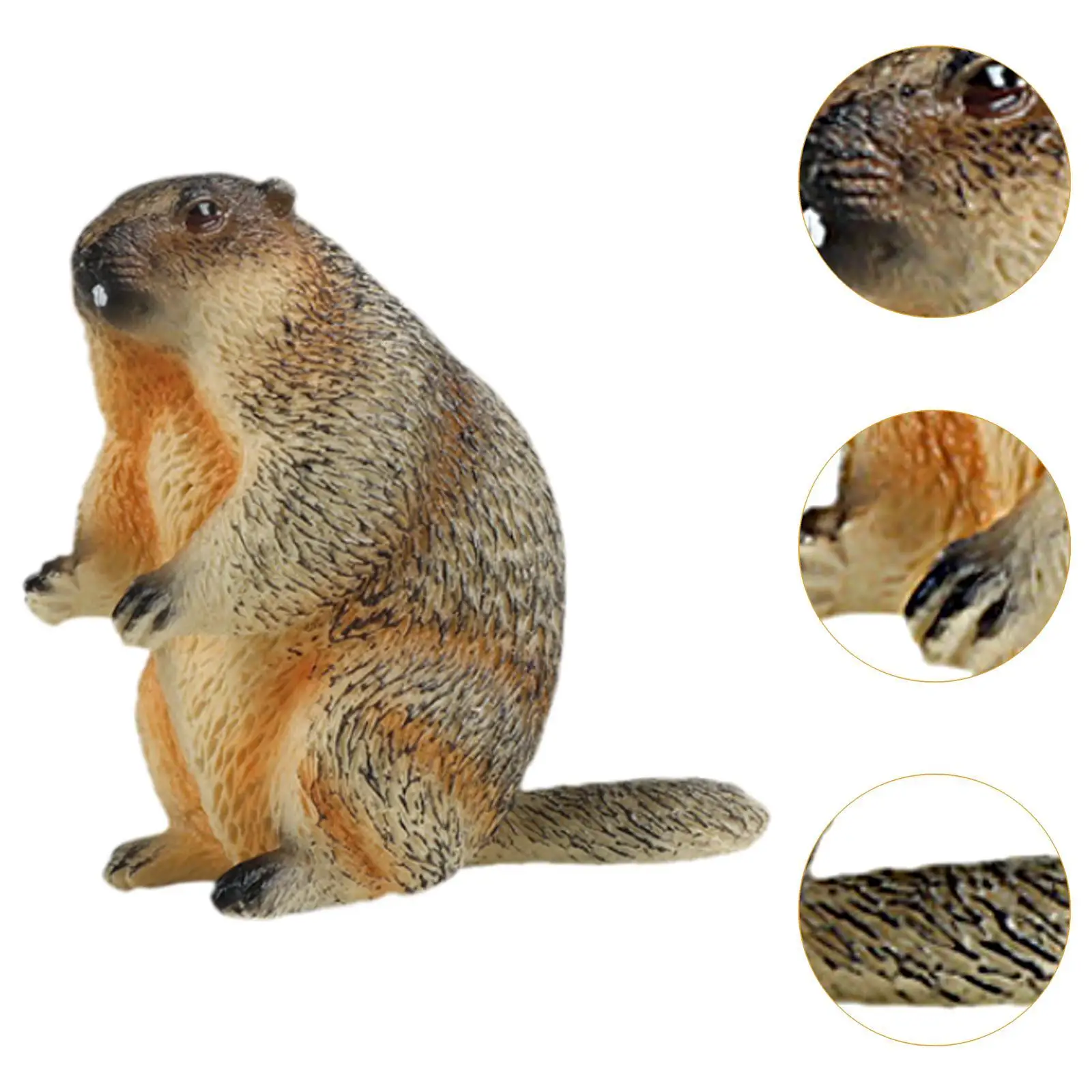 Figurine modèle marmotte, Sculpture de marmots, Mini artisanat décoratif réaliste
