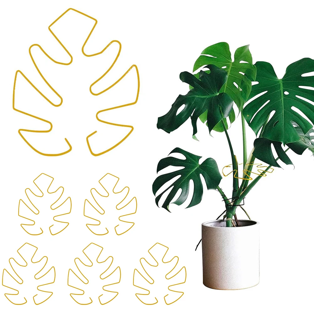 Indoor Plant Support Iron Plant Support Adjustable Height Easy Installation Reliable Support Sturdy Construction