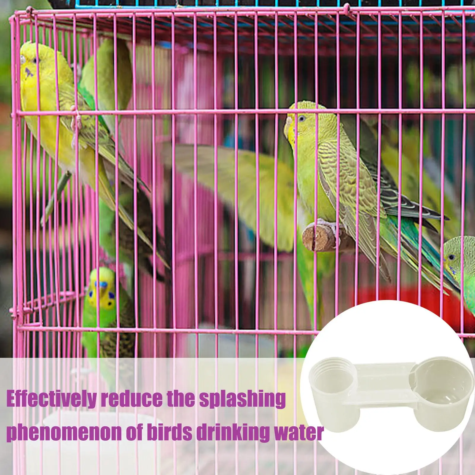 Bird Waterer Water-Saving Bird Drinker Feeder Cup Double-Port Transparent Supplies Dispenser for Chicken Finches Parakeet