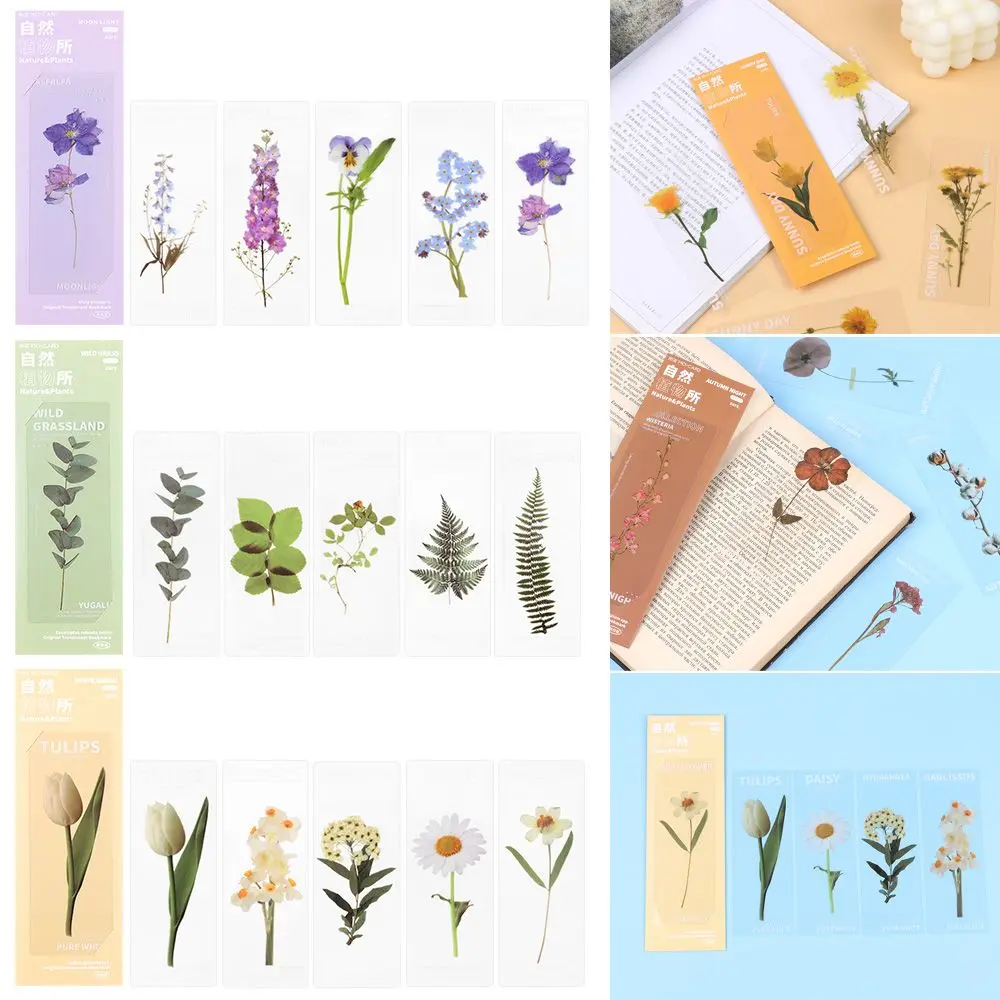 Book Note Marker Reading Mark PET Page Holder Translucent Flower Nature Plants Bookmarks Specimen Bookmarks Bookmarks Card