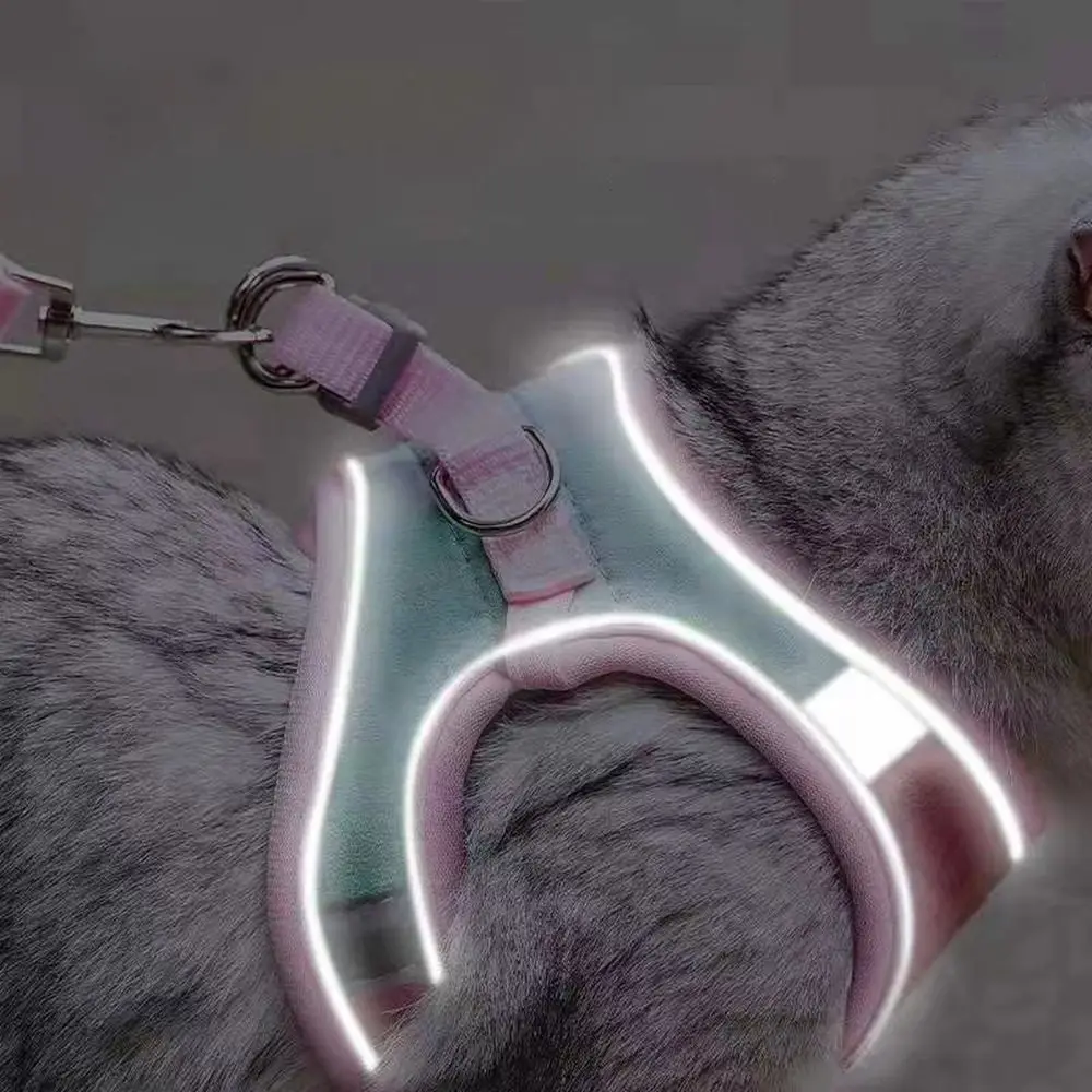 Thumbnail 3 - #12 Latest Puppy Harnesses Updates