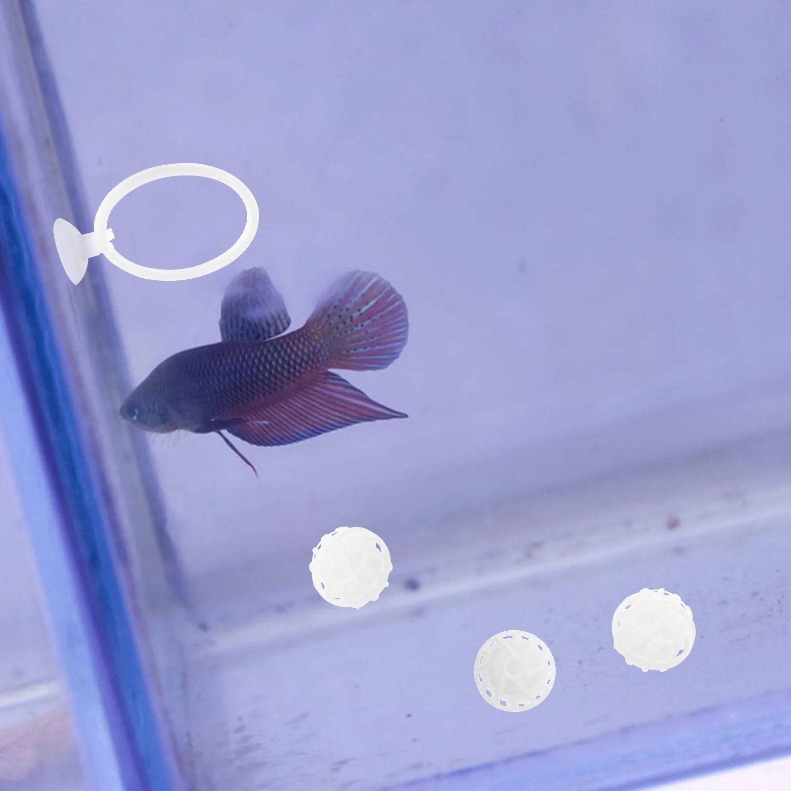 1Set Betta Training Ring Suction Cup Included Betta Fish Exercise Loop Filter Balls Aquarium Filtration Biological Media