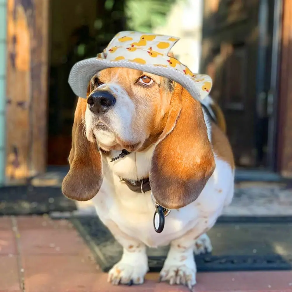 Fashion Cartoon Dog Fisherman Hat Breathable Adjustable Dog Sunshade Hats with Ear Holes Sun Protection Pet Sun Hat Hiking