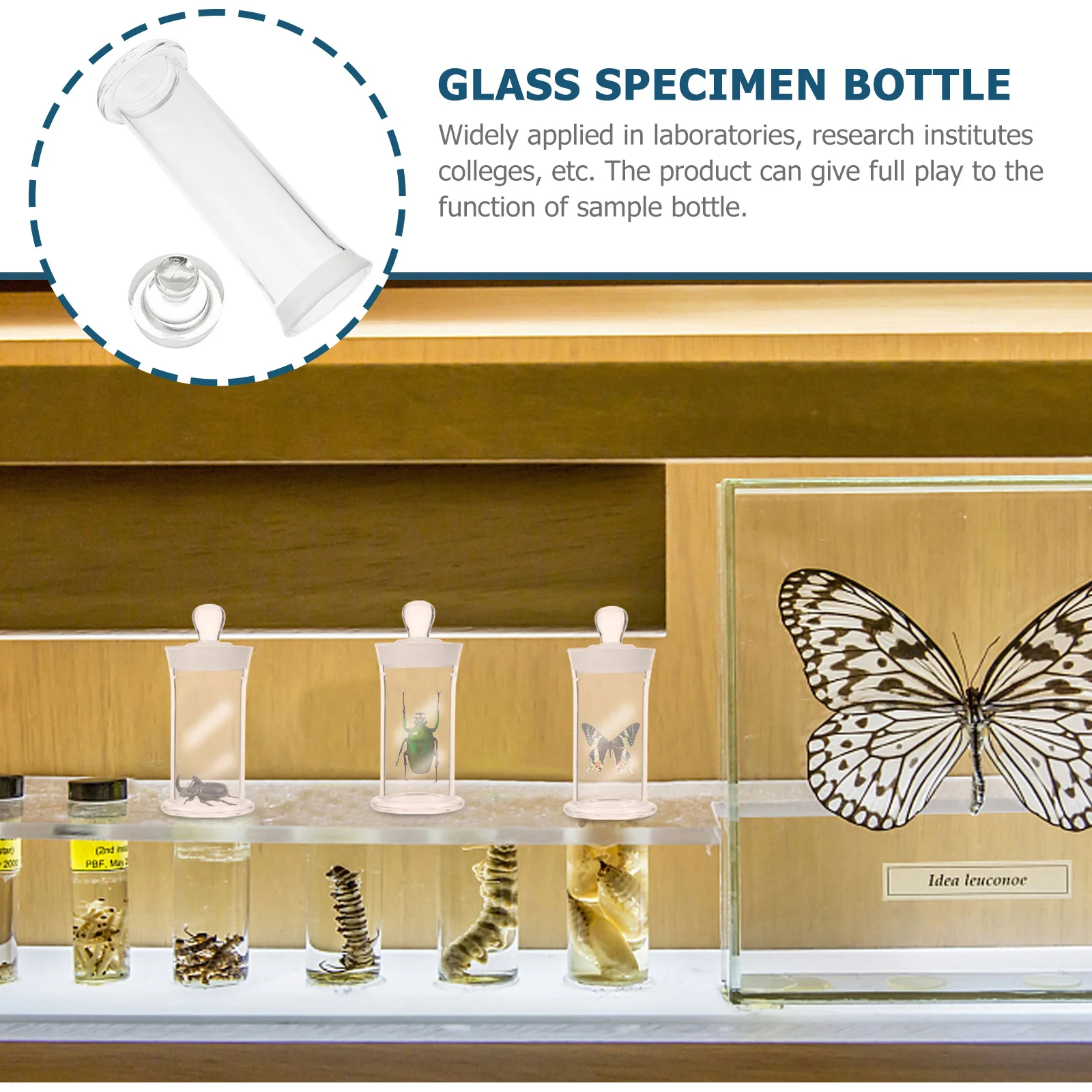 

Laboratory Jar Sample Vial Bottles Specimen Pot Graduated Container for Limoncello Borosilicate