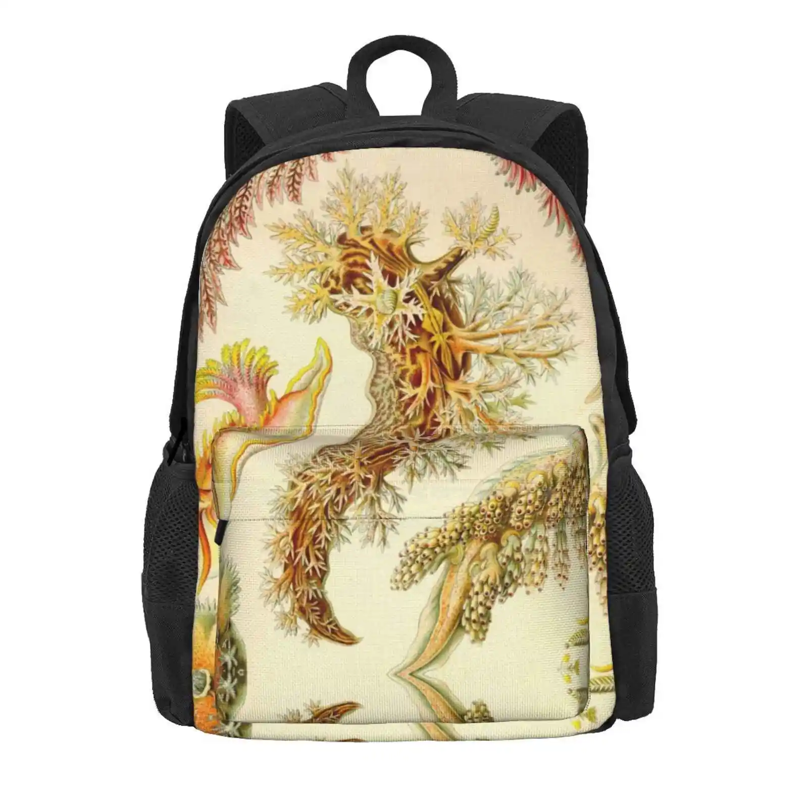 Sea Slug - Ernst Haeckel Hot Sale Schoolbag Backpack Fashion Bags 1800 1900 Kunstformen Der Natur Biology Natural Flora Fauna