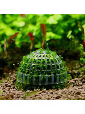 Aquarium Moss Ball Planter Grid Design Fish Tank Decor Moss Holder for Aquatic Plants Aquarium Landscaping Decoration Accessory