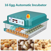 16 Eggs Incubators for Chicken Duck Goose Pigeon Quail Automatic Incubation Equipment Automatic Water Feeder,Egg Turning EU Plug