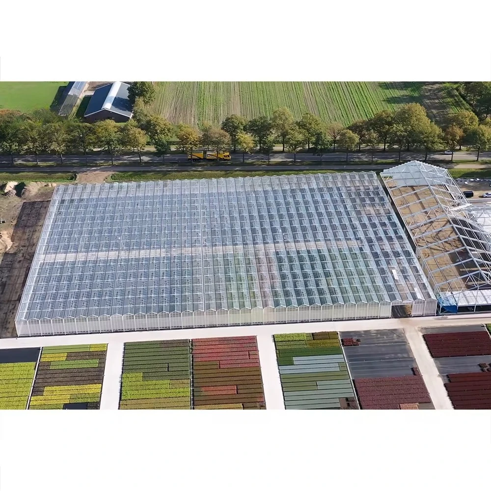 Agricultural Thermal Insulated Greenhouse Shading System Vegetable Fruit Growing House Serre Agricole Invernadero