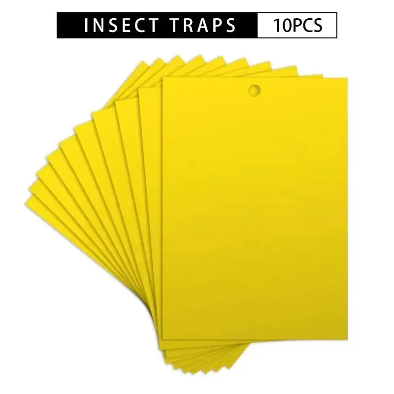 Pièges à insectes pour mouches et slime des fruits, jardin de melon, ferme, verger fruitier, ménage, 10 pièces par ensemble
