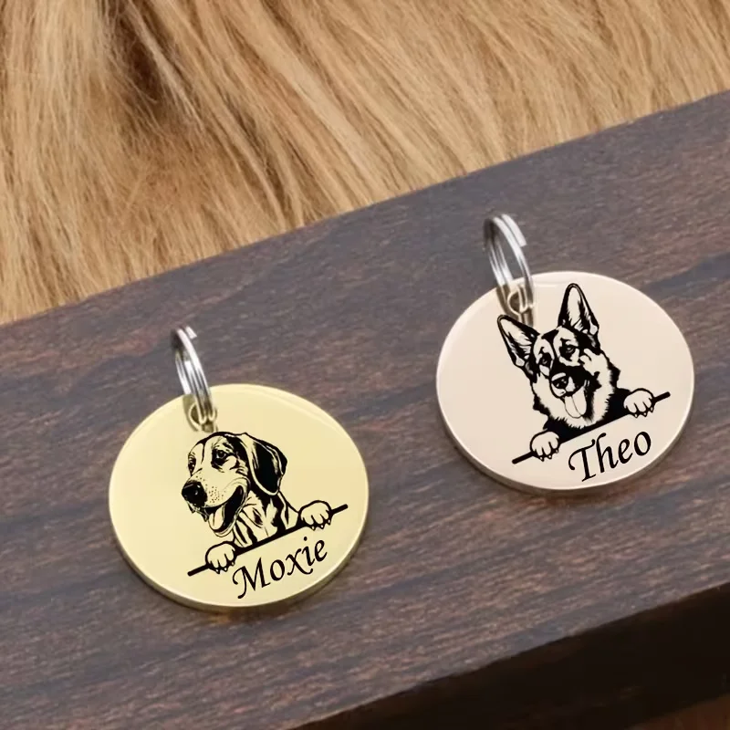 Custom Pet Name Puppy Anti-lost Collars Personalized Cute Engraving Stainless Steel Tag Dog Cat Name Tag Pets Dog Accessories view 4