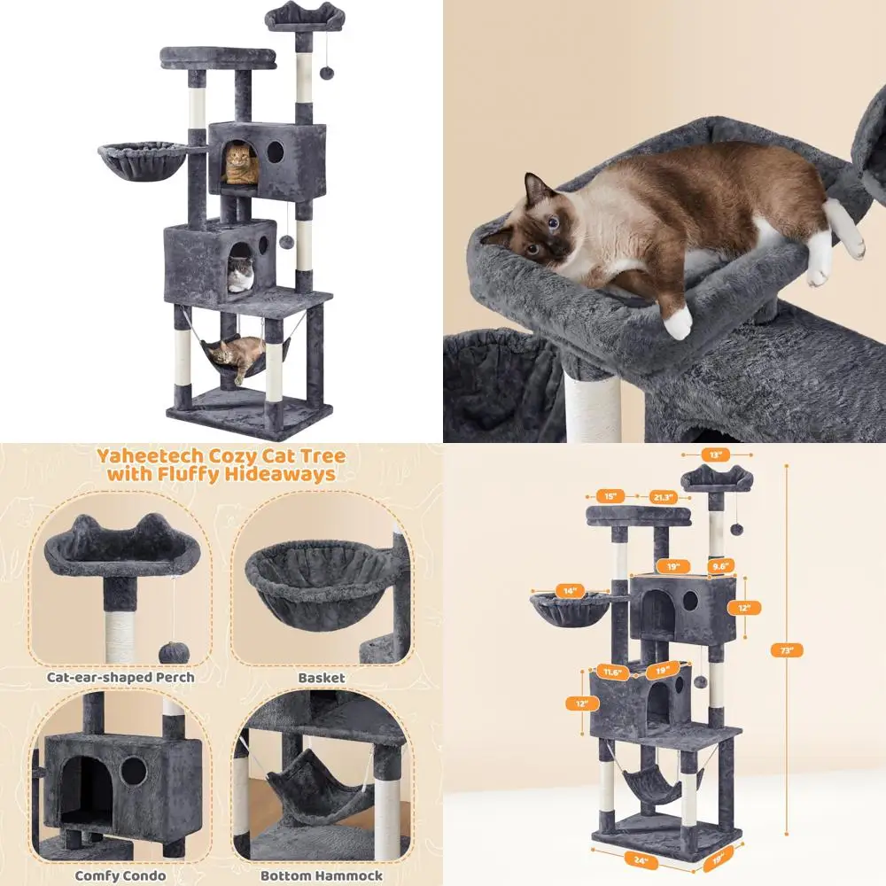 Indoor Cat Activity…