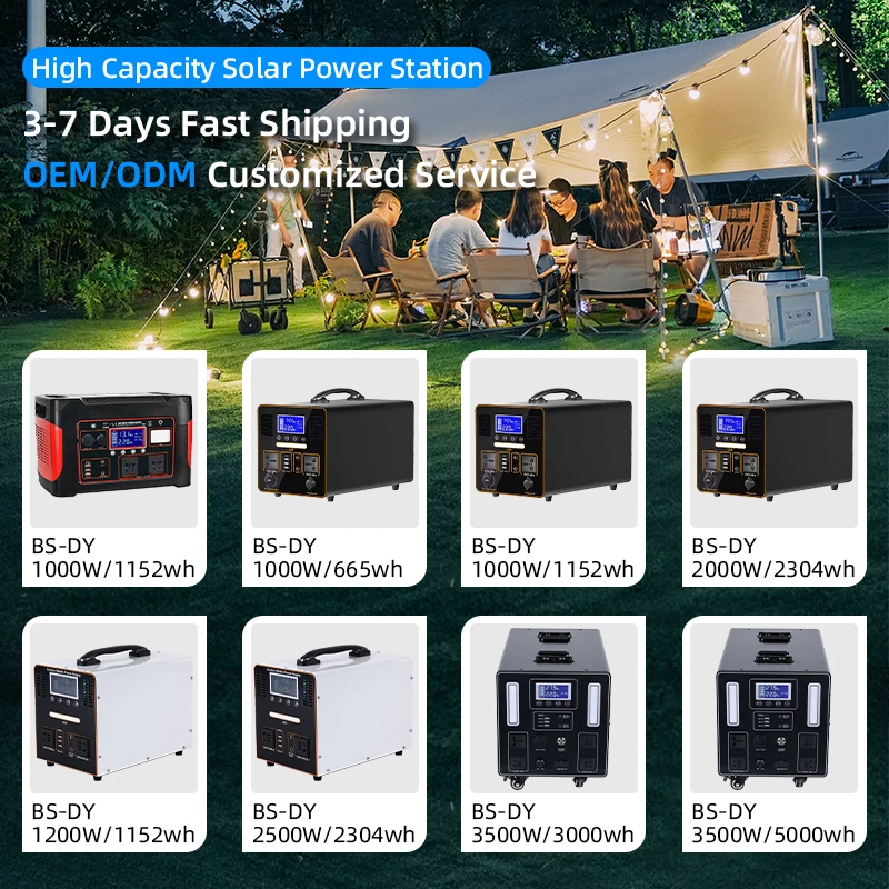 Supply 3000 Watt Portable Power Station LiFePO4 Battery Energy Storage 2000wh Power Supply 1000W Charge Generator Solar Homes