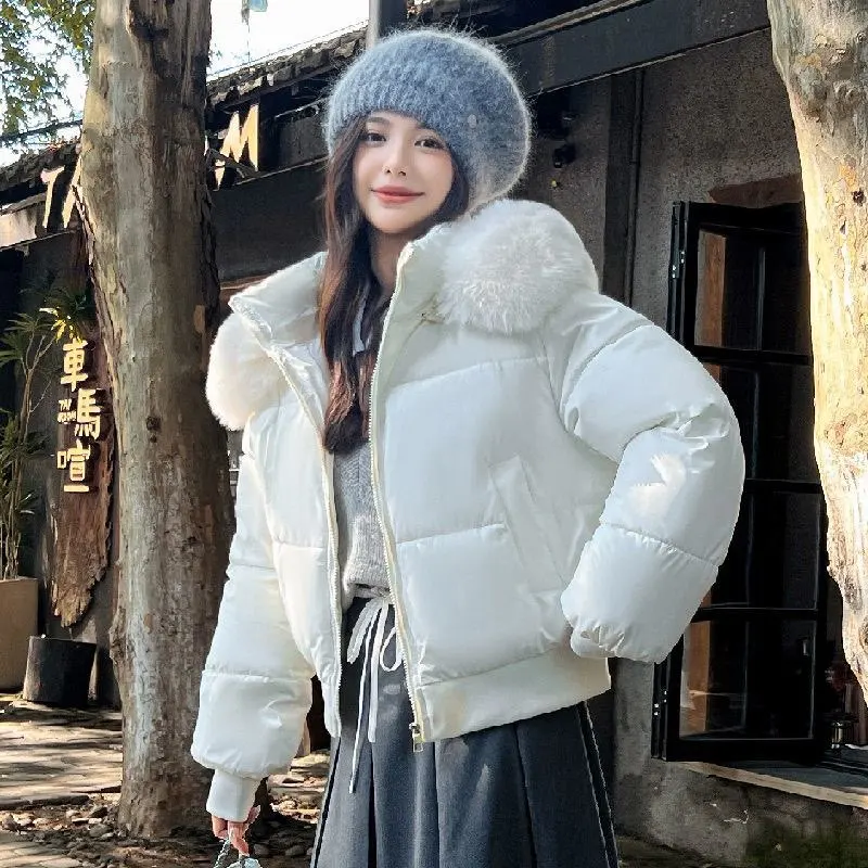 

New Women's Winter Jacket Women's Jacket fur Collar Hooded Cotton-Padded Jacket Short Winter Padded Cotton-padded Warm Coat