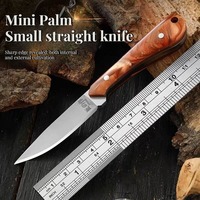 Outdoor meat cutting knife, fruit knife hand, meat for outdoor camping, versatile, portable, sharp knife for outdoor use
