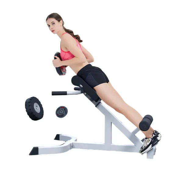 

New Product Fitness Equipment Adjustable Commercial Roman Chair With Back Extension Roma Chair Bench