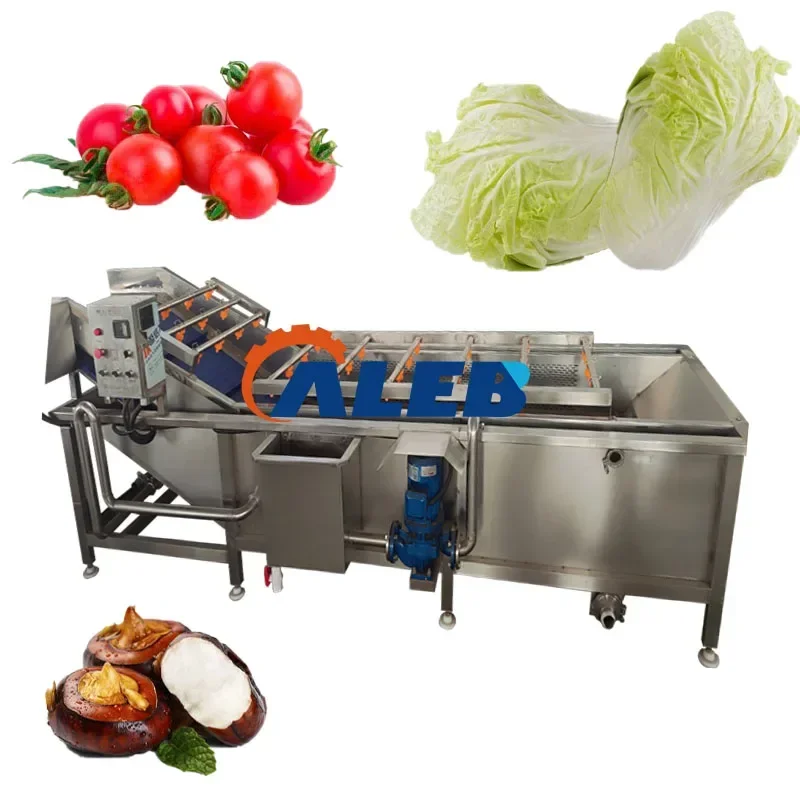 Automatic Fruit And Vegetable Cleaning Equipment Seafood Produce Washing Machine Meat Thawing Machine