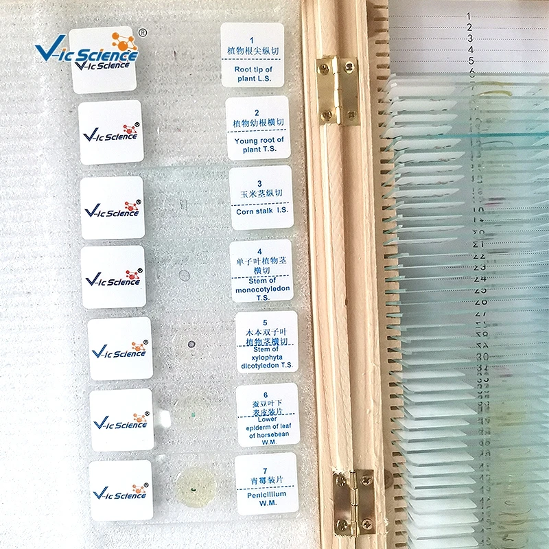 100 tipos de corrediças biológicas da educação do microscópio