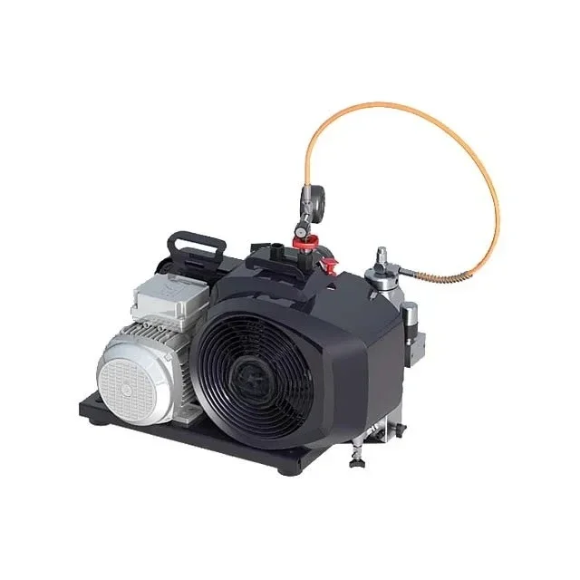 100-TE High-pressure Compressor P11 Filter System 4.2kw Diving Air Compressor