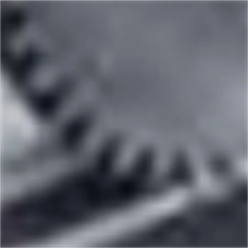 

Pork Meat Cutting Machine Food Processing Plant Beef Cutting Machine Meat Slicing and Shredding Machine