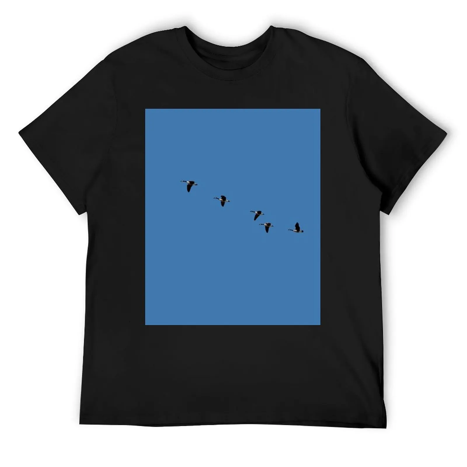 

Canada Geese in Flight T-Shirt affliction shirts quick drying blacks black t-shirts for men